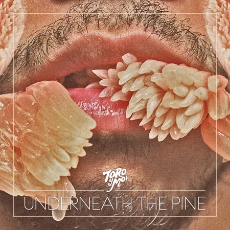 Underneath the Pine by Toro y Moi