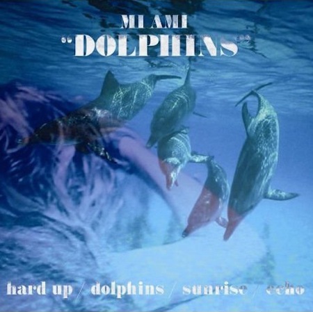 Dolphins by Mi Ami
