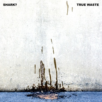 True Waste by Shark?