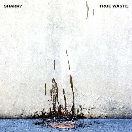 True Waste by Shark?