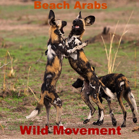 Wild Movement by Beach Arabs