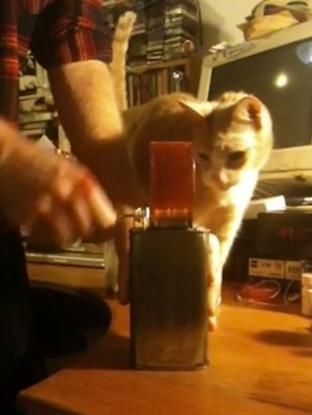 Dan Friel's Music Box + Cat