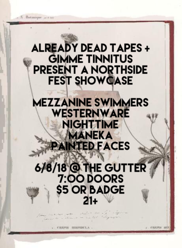 show :: 6/8/18 @ The Gutter > Already Dead Tapes + GIMME TINNITUS present a Northside Fest Showcase