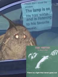 there us a light that never goes out moth meme